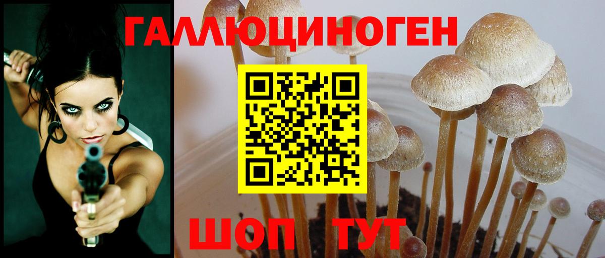 Псилоцибиновые грибы MAGIC MUSHROOMS  Вход с VPN  Ростов Великий 